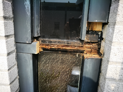 Schermafbeelding 2026 02 23 113737